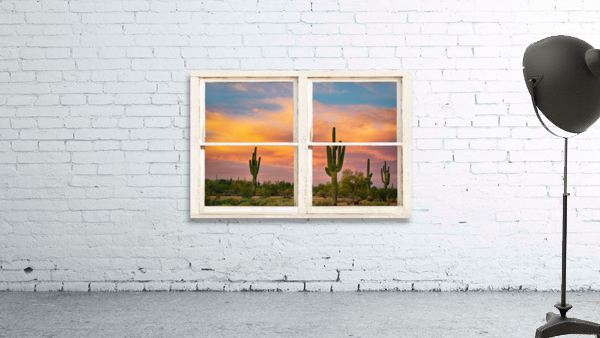 Colorful Southwest Desert Rustic Window View by Bo Insogna