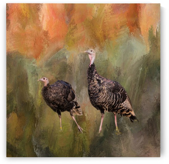 jive turkeys by Bo Insogna