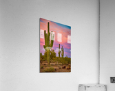 Desert Spring  Impression acrylique