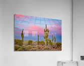 Southwest Desert Spring  Impression acrylique
