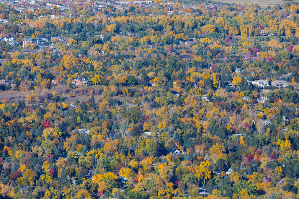 Fall Foliage Boulder Colorado Téléchargement Numérique
