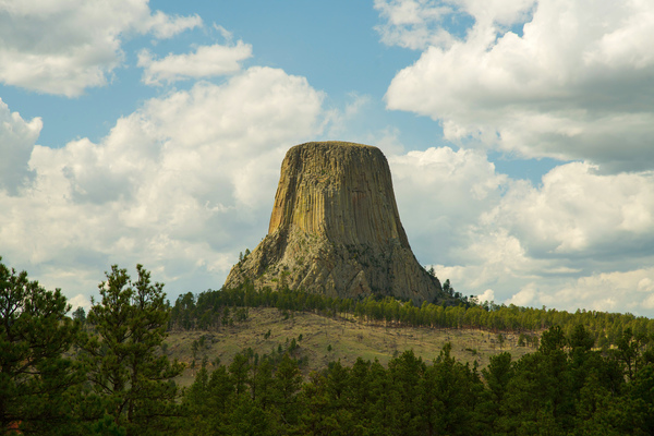 Majestic Devils Tower in Wyoming Amidst Pine Forest Digital Download