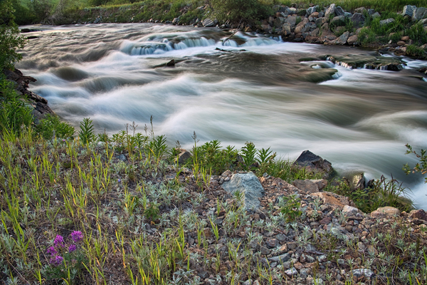 South Boulder Creek Summer View Digital Download