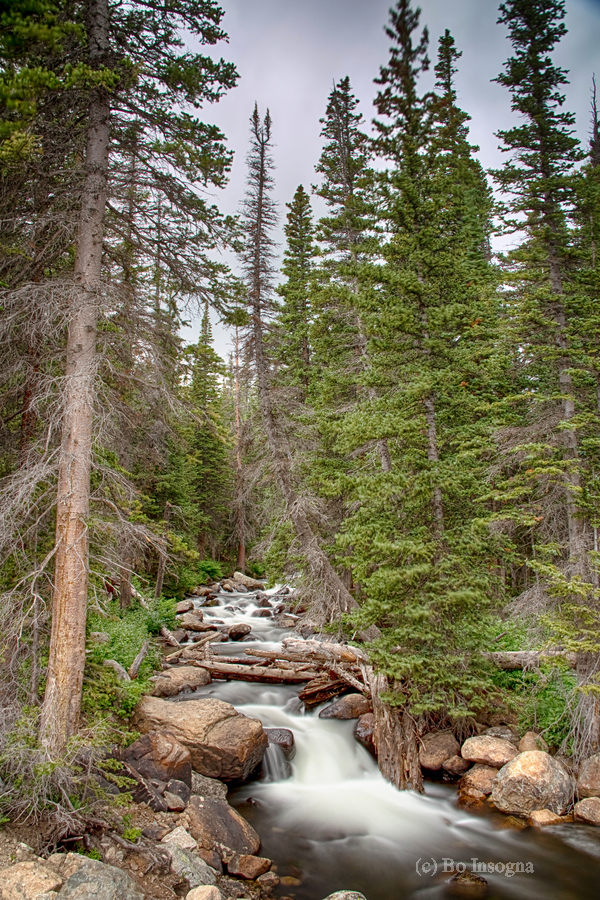 Colorado Rocky Mountain Flowing Stream  Print