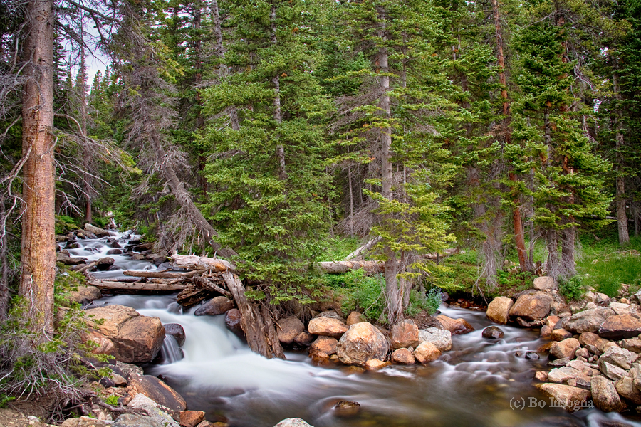 Colorado Rocky Mountain Forest Stream  Print
