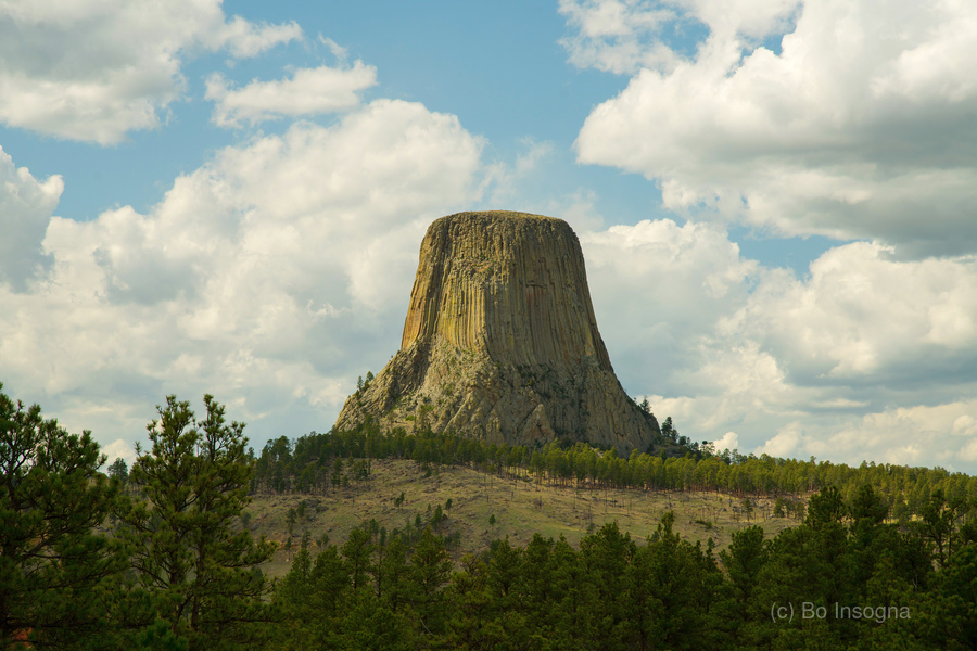 Majestic Devils Tower in Wyoming Amidst Pine Forest  Imprimer