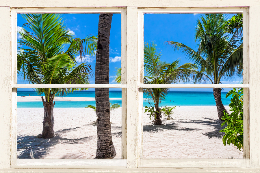Tropical Island Rustic Window View  Imprimer