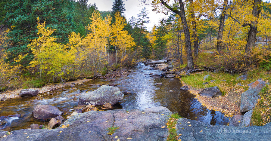 Colorado Autumn Creek Happy Place Panoramic  Print