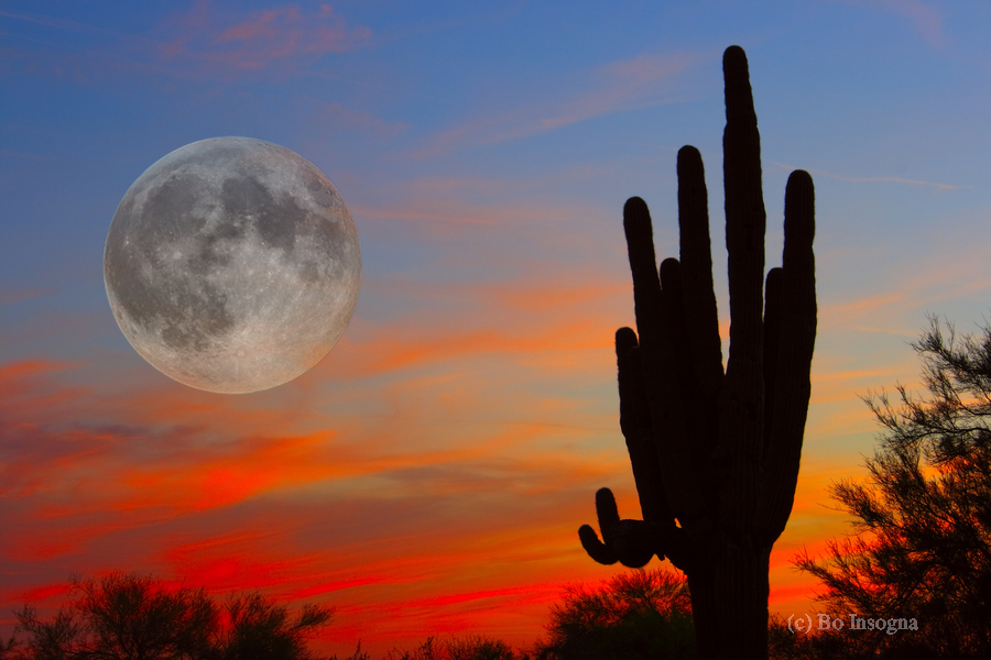 Full Moon Big Saguaro Sunset  Imprimer