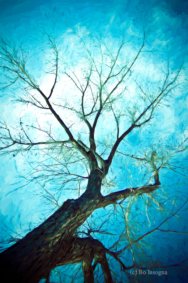 winter tree blue  Print