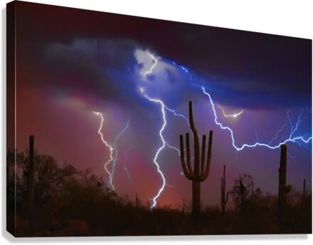 Saguaro Lightning Storm  Impression sur toile
