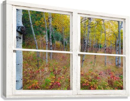 Autumn Forest Delight Rustic Window View  Impression sur toile