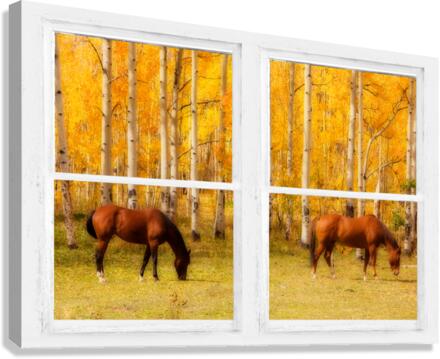 2 Horses Aspen Trees Whitewash Picture Window  Impression sur toile