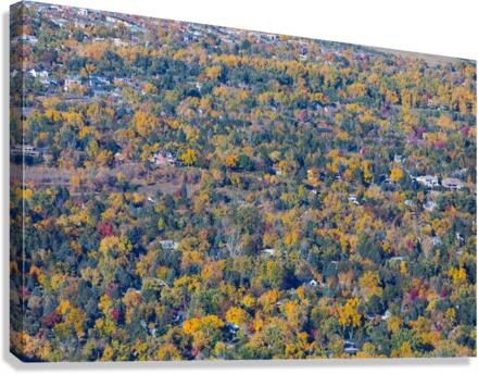 Fall Foliage Boulder Colorado  Canvas Print