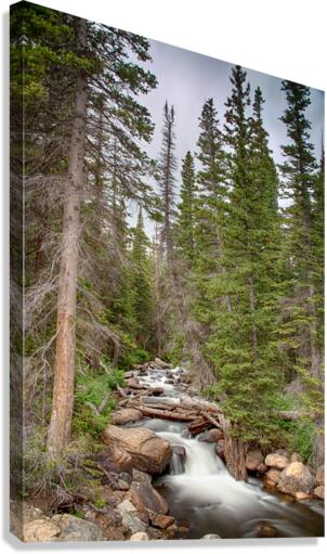 Colorado Rocky Mountain Flowing Stream  Impression sur toile