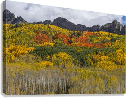 Colorado Kebler Pass Fall Foliage  Impression sur toile