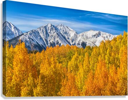 Colorado Rocky Mountain Autumn Beauty  Canvas Print