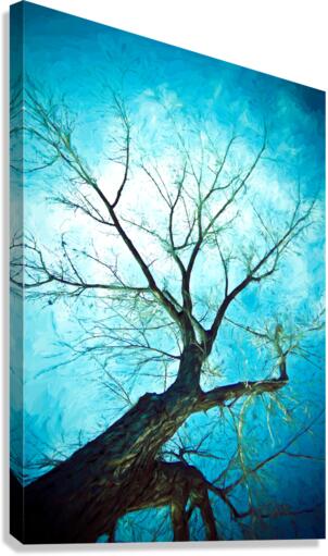 winter tree blue  Impression sur toile