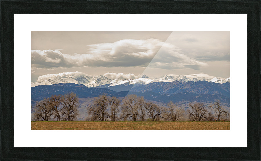 Rocky Mountain Front Range Peaks and Trees Pano  Framed Print Print