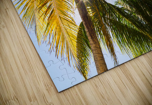 Reminiscent of a Tropical Paradise Bo Insogna puzzle