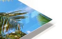 Reminiscent of a Tropical Paradise Impression metal HD