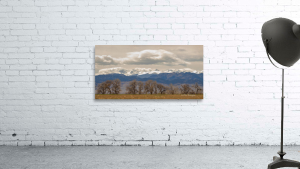 Rocky Mountain Front Range Peaks and Trees Pano by Bo Insogna