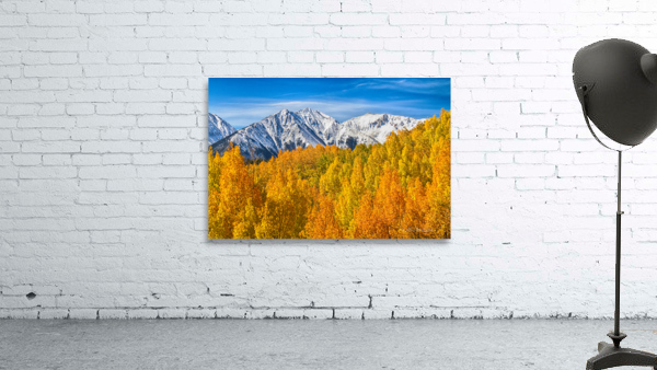 Colorado Rocky Mountain Autumn Beauty by Bo Insogna