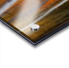 Forest Color Burst Modern Abstract Acrylic print