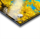 Maple Up Acrylic print