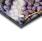 Grapes Up Cluse Acrylic print
