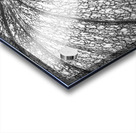 Pumpkin Pumpkin Black and White Acrylic print