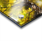 Boulder Colorado City Walk Acrylic print