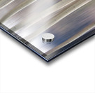 Rocky Mountain Winter Aspent Tree Forest Dream Acrylic print