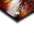 Sunset Tree Silhouette Abstract 2 Acrylic print