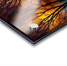 Sunset Tree Silhouette Abstract 4 1 Acrylic print