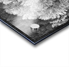 Autumn Grazing Horses Bonanza Acrylic print