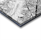 Black and White Snowy Tree Branches Abstract 2 Acrylic print