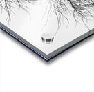 Wild Springtime Winter Tree Black and White Acrylic print