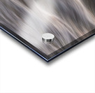 Flowing Creek Sunset Abstract Portrait Acrylic print