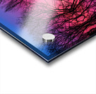 Morning Glow Tree Abstract Acrylic print