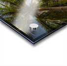 Tropical Sun Acrylic print