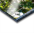 Jungle Paradise Sunshine Acrylic print