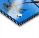 Tropical Blue Skies And White Sand Beaches Acrylic print