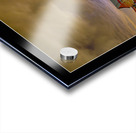 Gods Country  Acrylic print