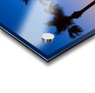 Palm Shadows Dancing in the Colors of Dusk Acrylic print