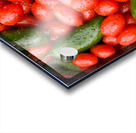 Gardens Embrace A Ruby and Emerald Harmony Acrylic print