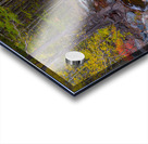 Tranquil Autumn Creek in a Rocky Mountain Forest Acrylic print