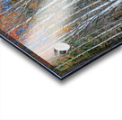 Aspen Grove Symphony Autumns Embrace Acrylic print