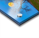 Supermoons Gilded Ascent A Celestial Masterpiece Acrylic print