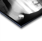 Whispers of Trees and Meadows at Sunrise in Black and White Acrylic print